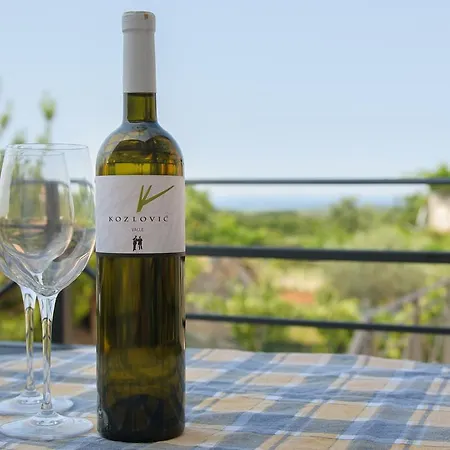 Borgo 8 شقة Tar-Vabriga